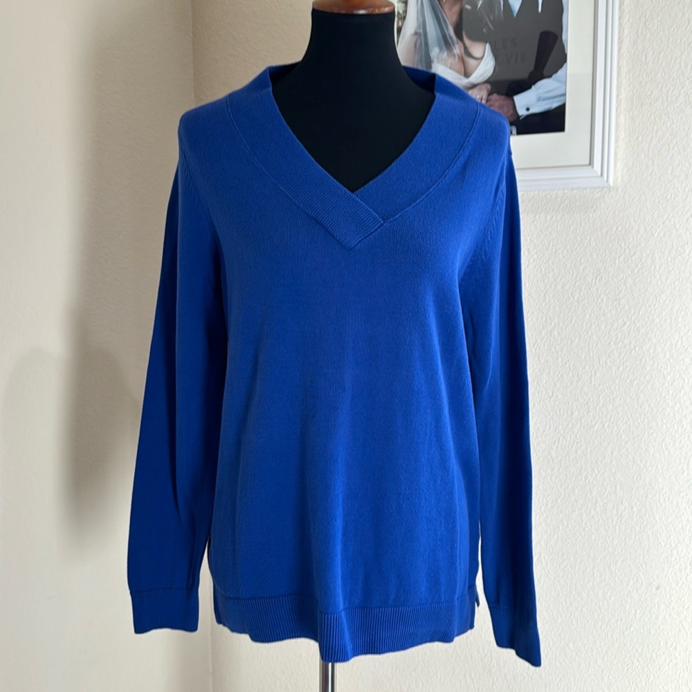 Karen Scott V Neck Sweater